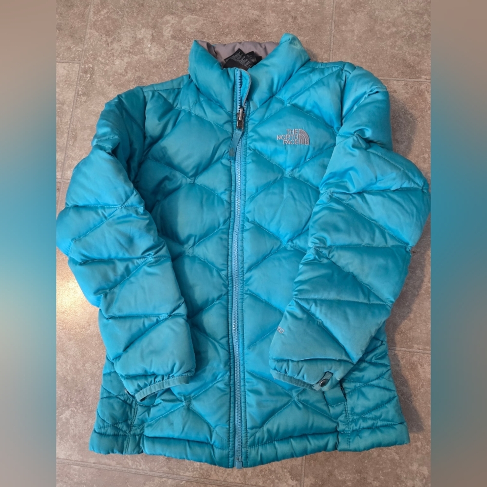 The North Face Blue Puffer Jacket